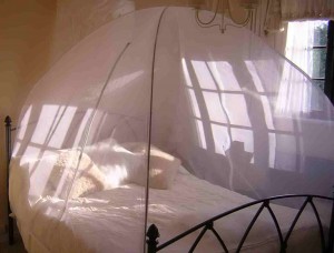 bed-nets