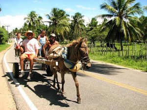 carroca