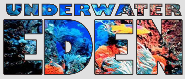 underwatereden