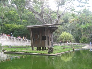 João Pessoa Zoo