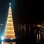 floating_tree